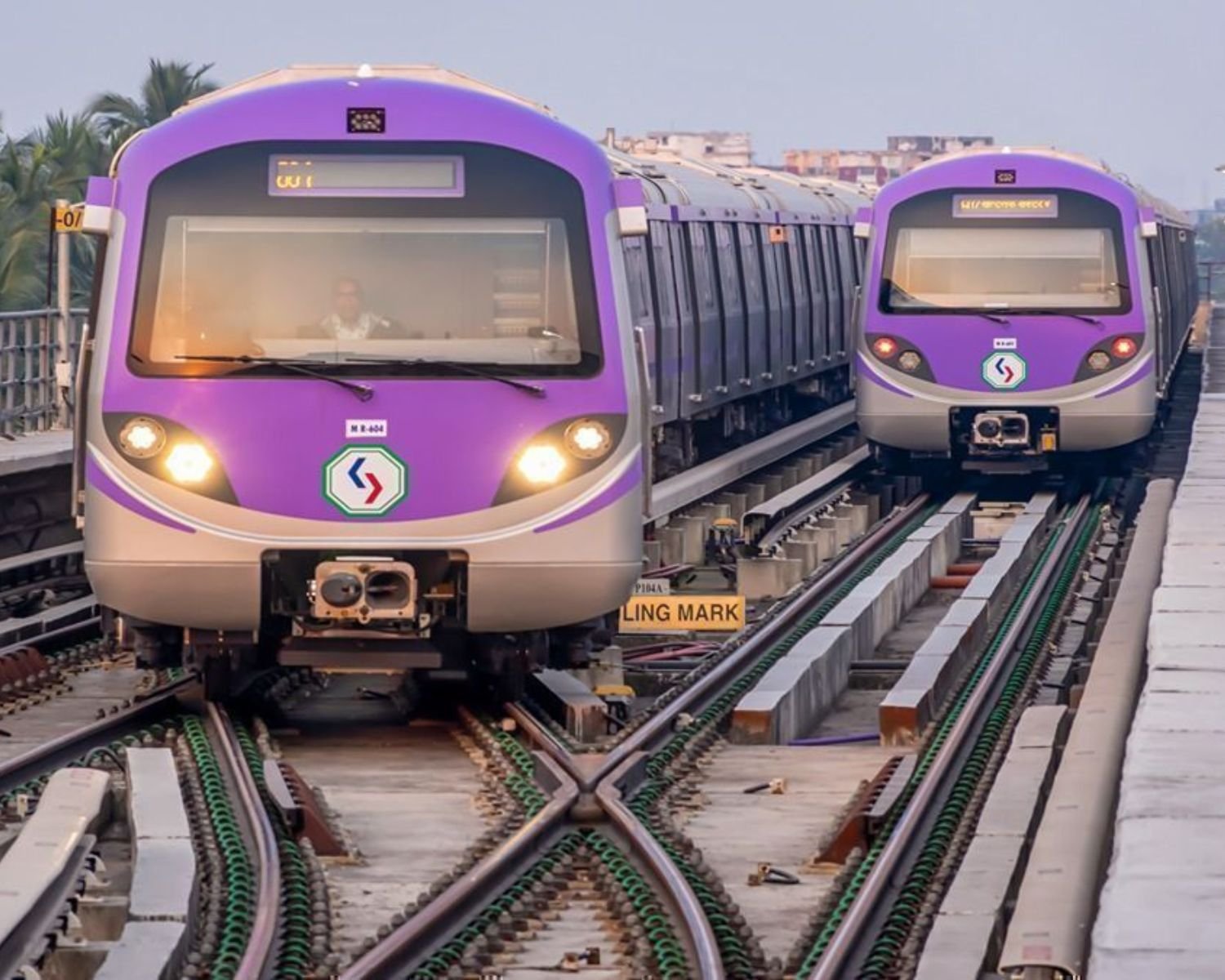 Untitled design (54)